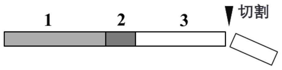 Manufacturing method of single-optical-fiber cascade type temperature-depth-salinity sensor for deep sea exploration