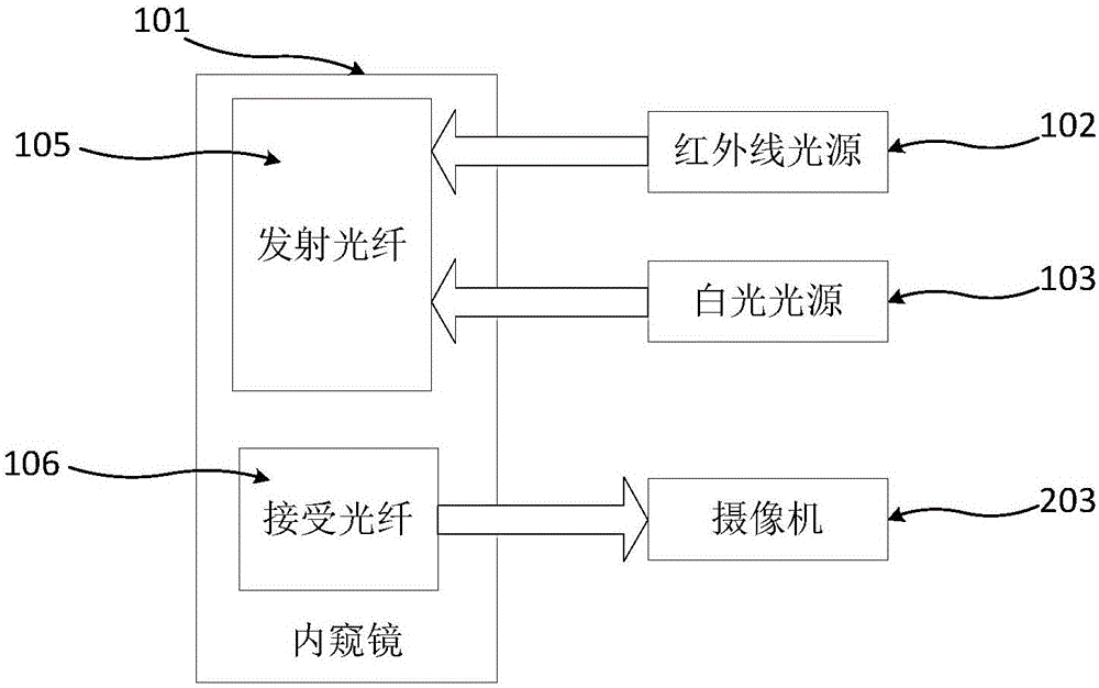 Blood vessel recognition method and device