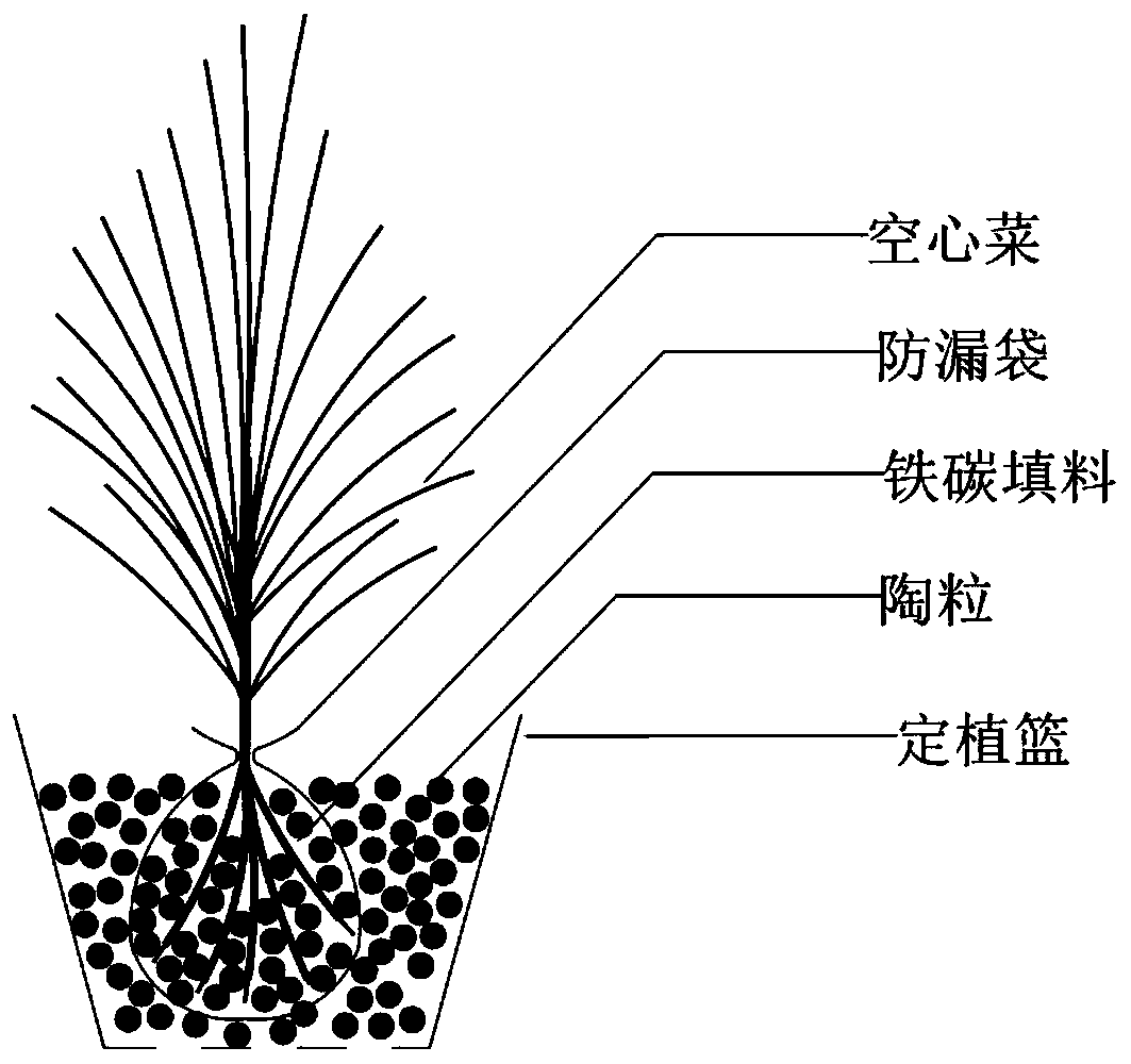 Iron-carbon microelectrolysis coupled emerged plant module and application thereof