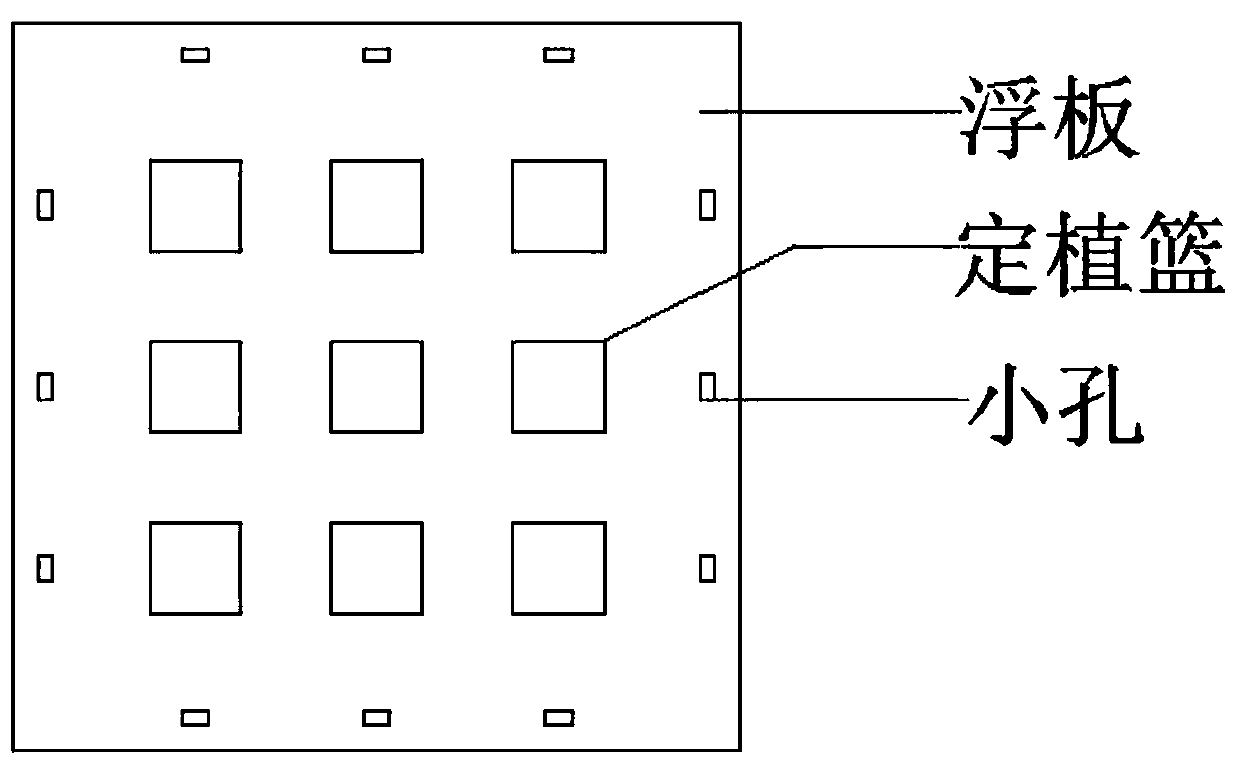 Iron-carbon microelectrolysis coupled emerged plant module and application thereof