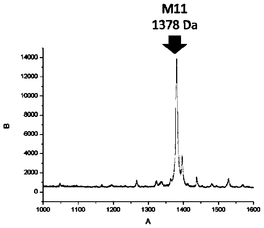 Peptides and their preparation and use