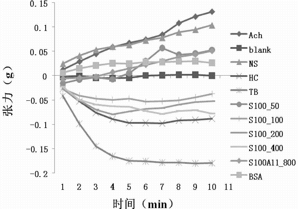 New application of s100 calcium binding protein a11 in the preparation of drugs for relaxing airway smooth muscle