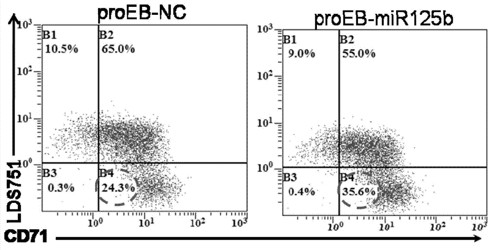 Application of miR-125b in red blood cell maturation