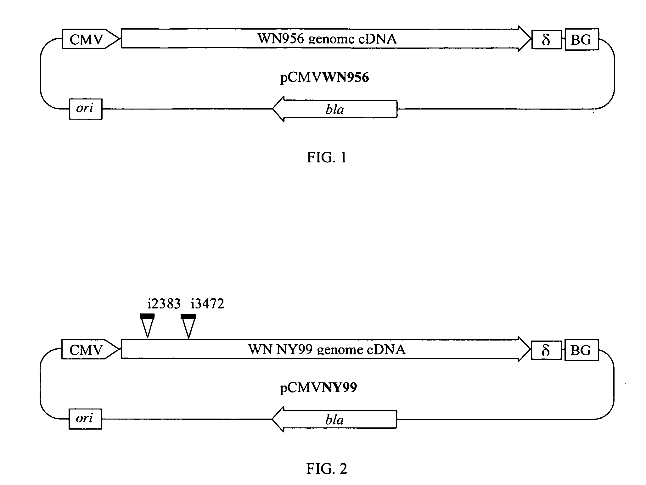 Chimeric west nile viruses and uses thereof