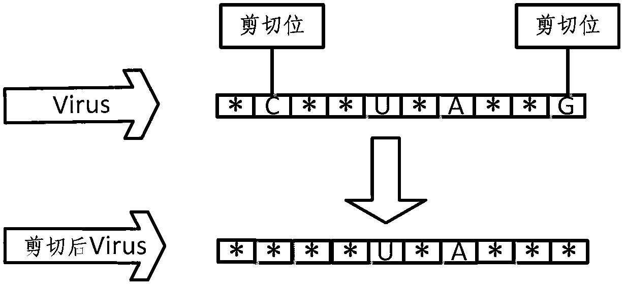 VERNA-genetic algorithm (GA) gasoline concoction optimized dispatching method