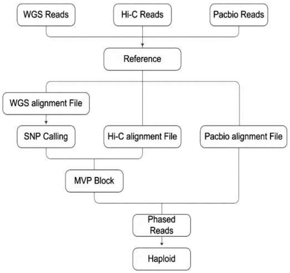 Whole genome typing method based on Pacio subreads and Hi-C reads