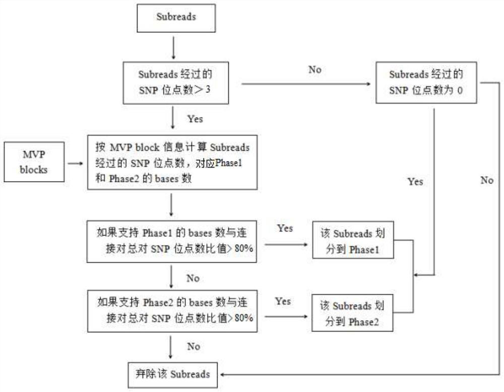 Whole genome typing method based on Pacio subreads and Hi-C reads