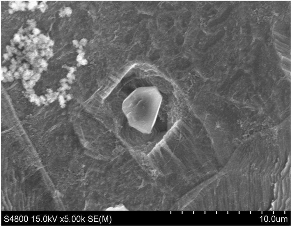 In-situ observation method for morphology of non-metallic inclusions in ultra-pure non-oriented cold-rolled silicon steel