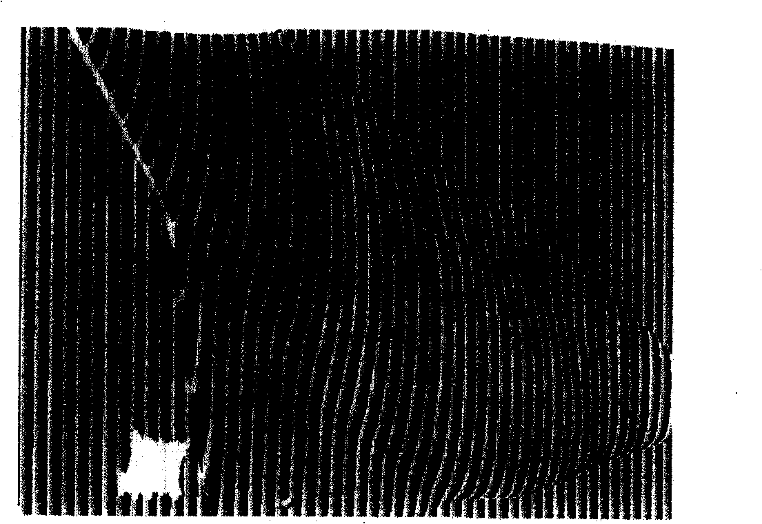 Gray code based phase development method in three-dimensional scanning system