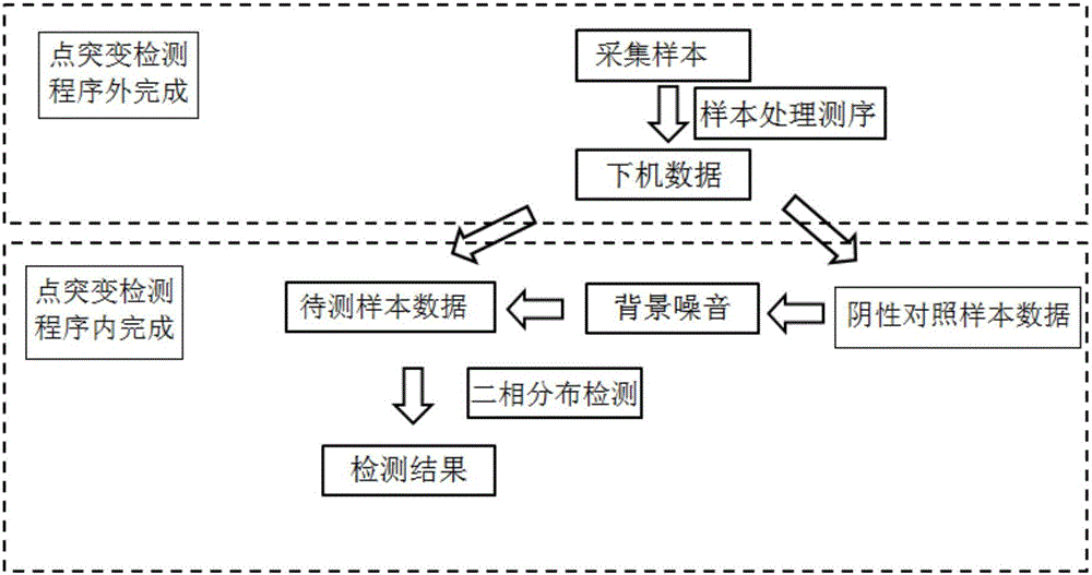 Point mutation detection method and device based on amplicon next-generation sequencing