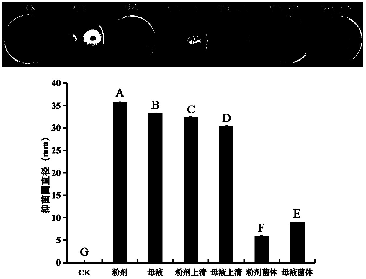 Bacillus velenzensis and application thereof to biological control