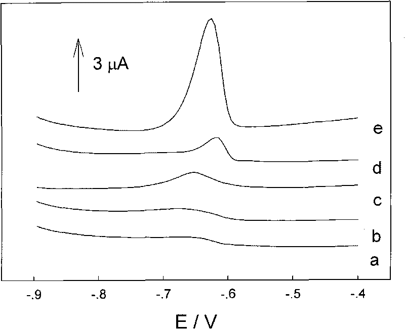 Electrochemical sensor for determining concentration of heavy metal ions in water sample