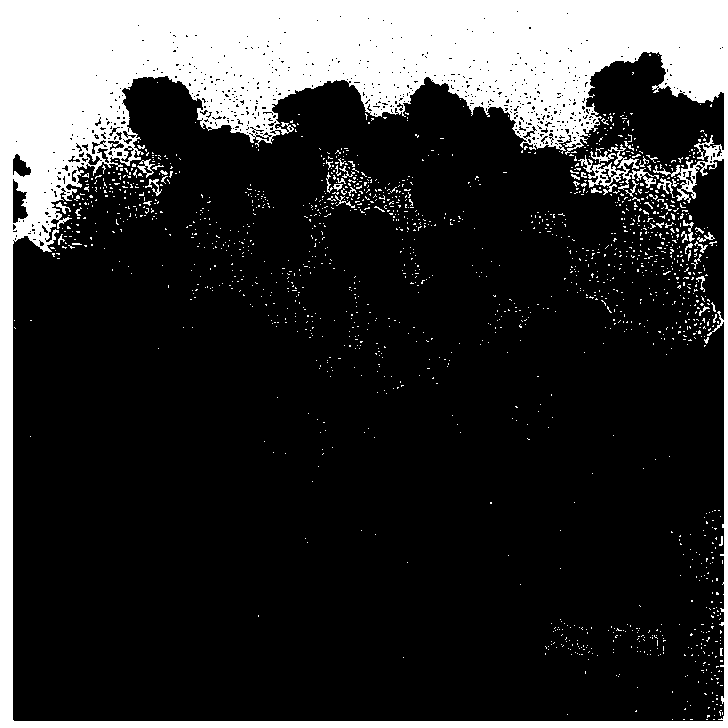 Copper-bearing bimetallic nanometer material with dentritic structure and method for manufacturing copper-bearing bimetallic nanometer material