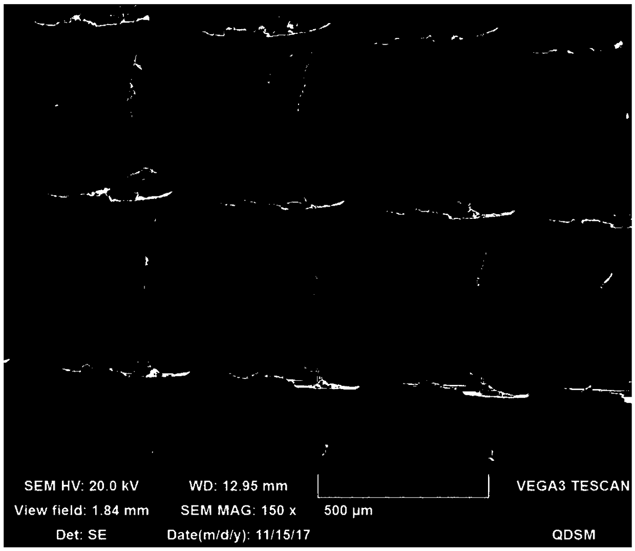 Microneedle patch and preparing method thereof