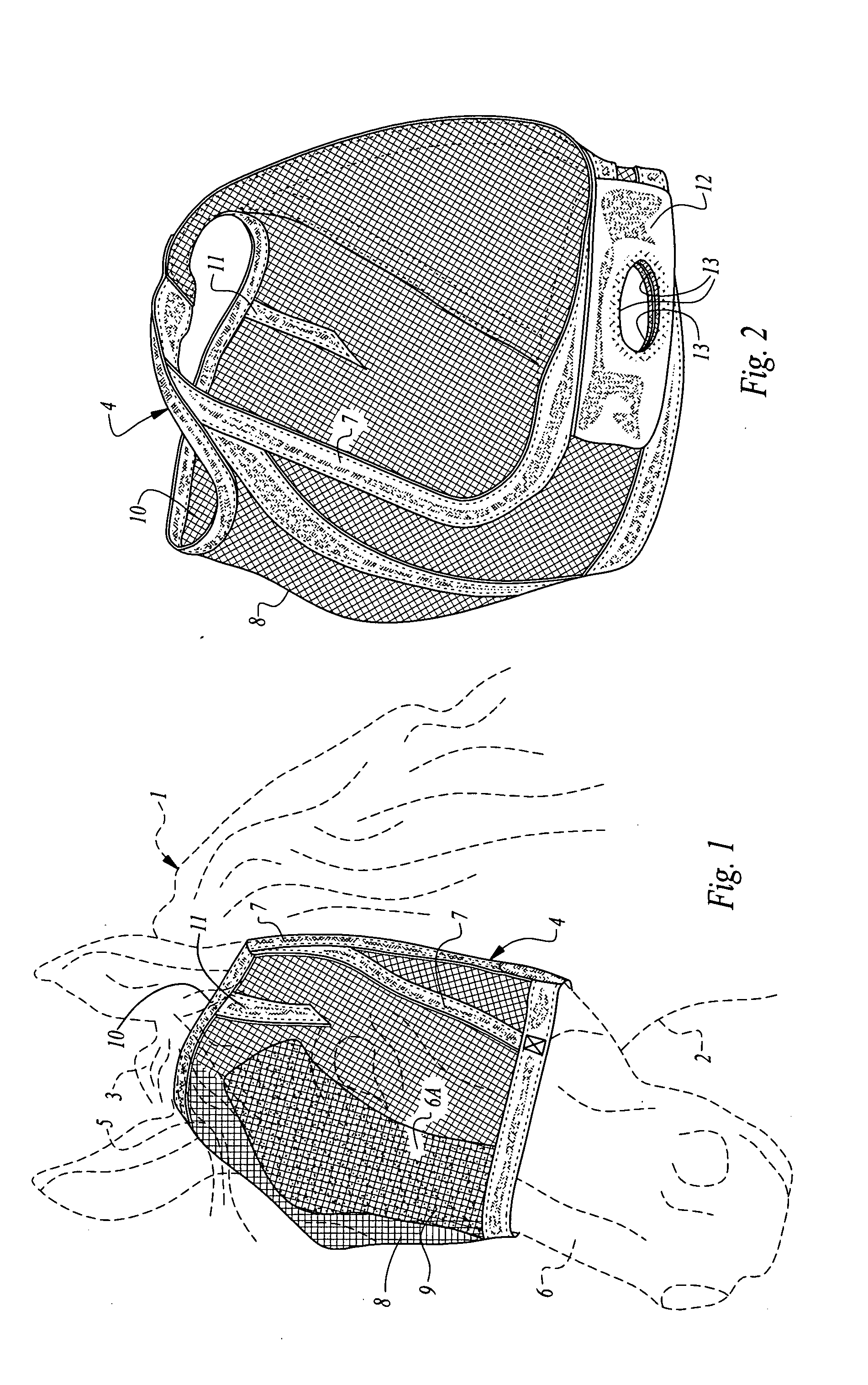 Protective mask and halter apparatus