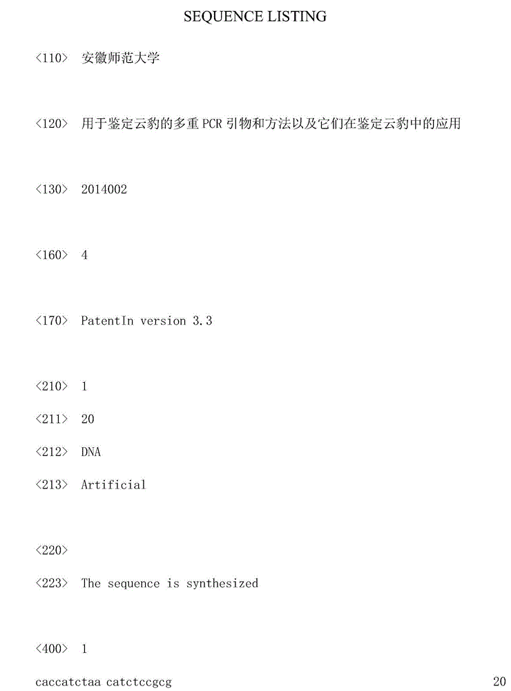 Multi-polymerase chain reaction (PCR) primer and method for identifying clouded leopard and application of primer or method in identification of clouded leopard