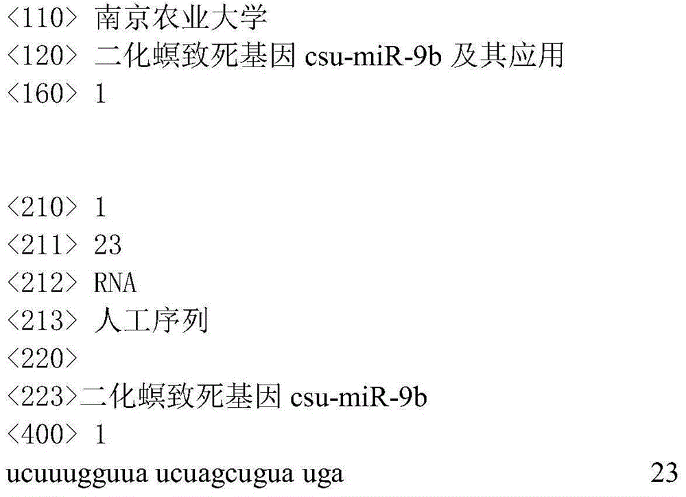 Chilo suppressalis lethal gene csu-miR-9b and application thereof