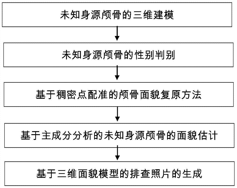 Criminology-oriented computer-assisted facial reconstruction method for skulls of unknown body sources