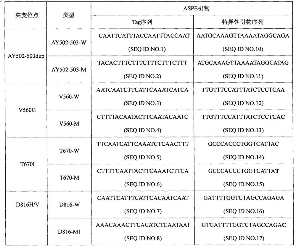 c-KIT gene mutation detection liquid-phase chip