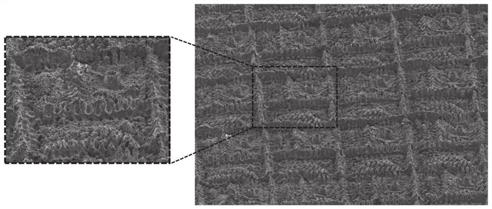 Self-powered flexible piezoresistive pressure sensor based on biofilm and preparation method and application thereof