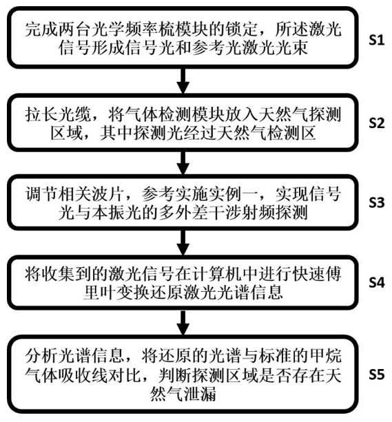 Petroleum and natural gas leakage detection method based on double-optical frequency comb spectrum technology