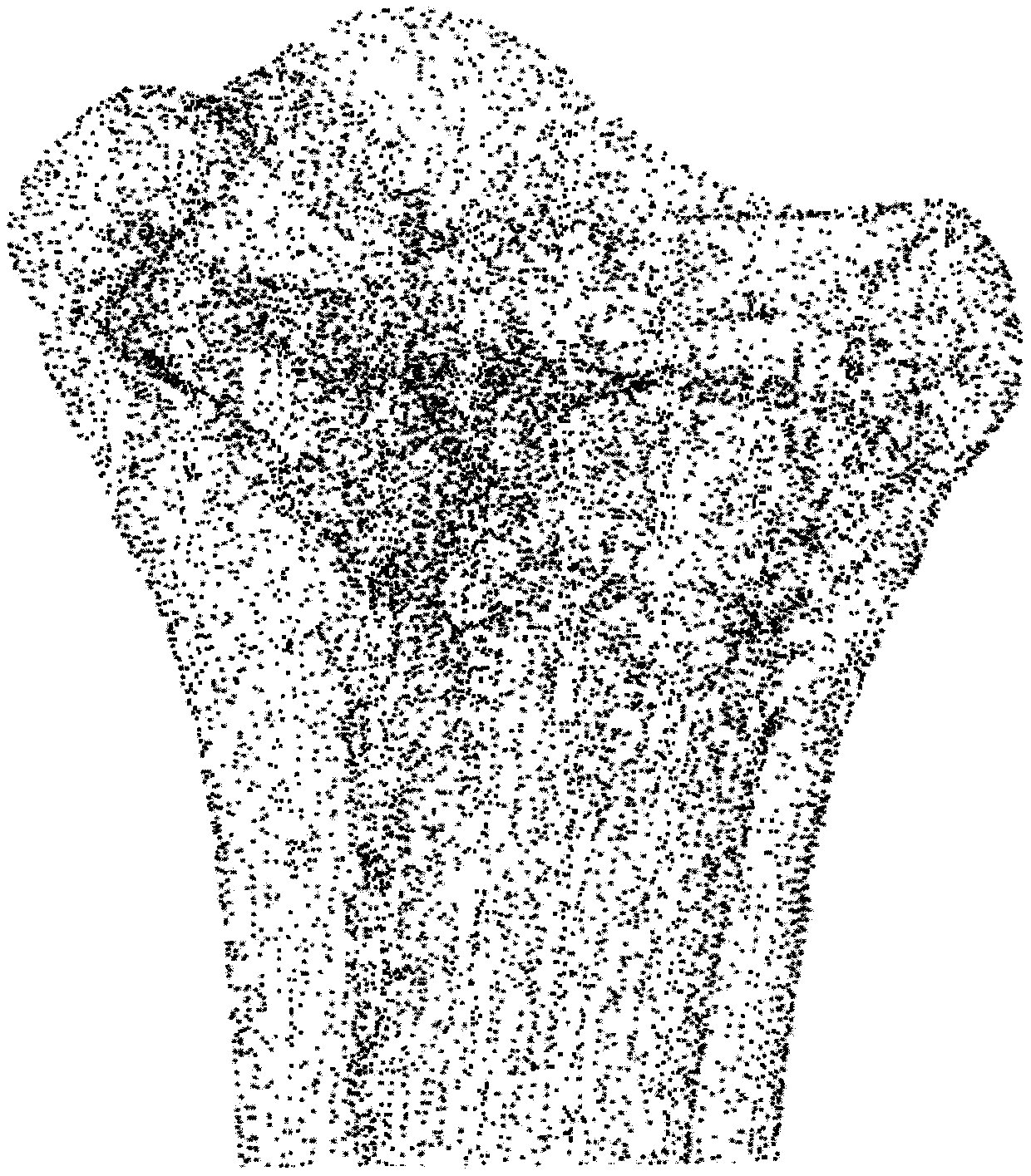 Method for carrying out human skeleton three-dimensional modeling by utilizing CT image