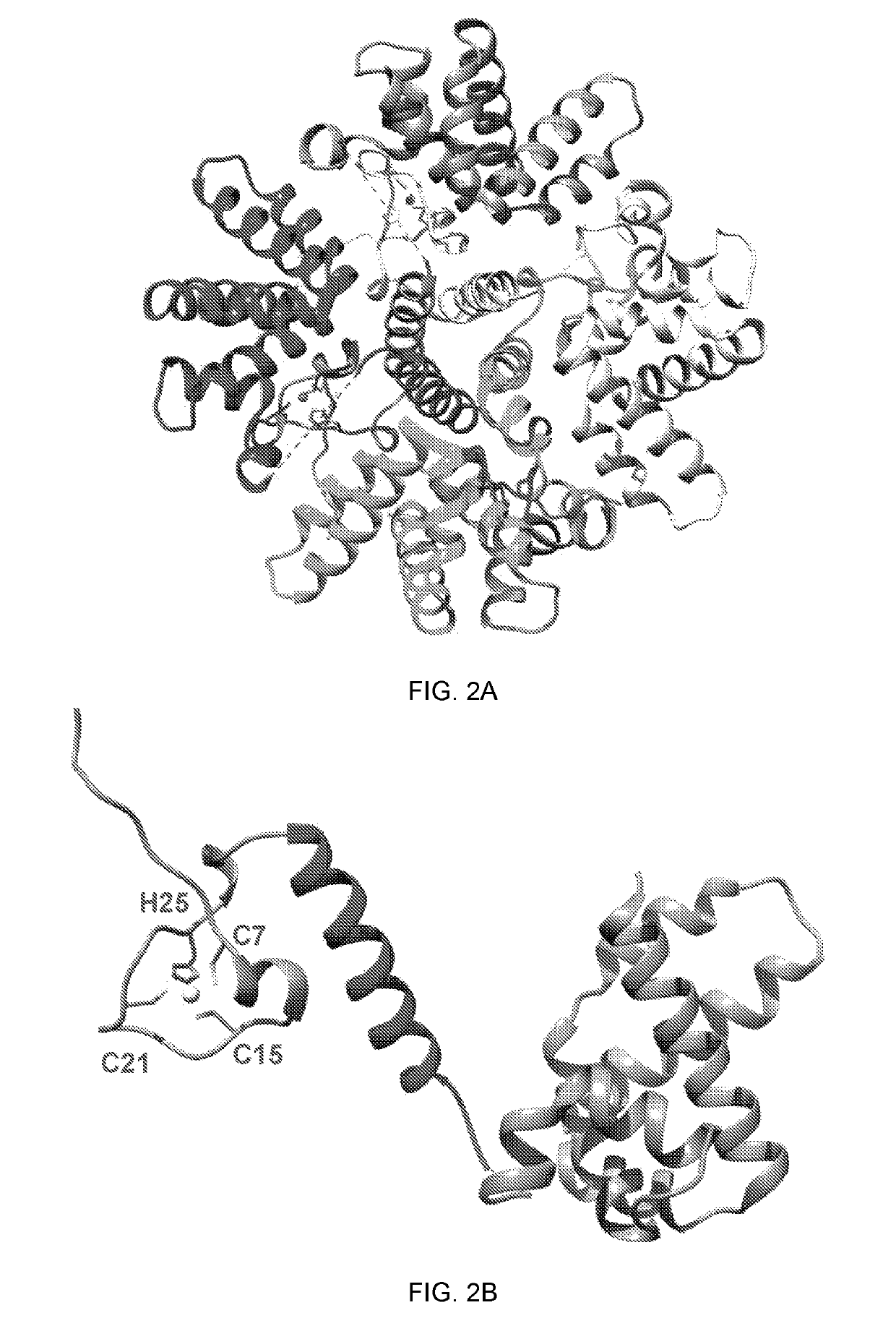 Live attenuated vaccines for pneumoviruses and related methods and materials