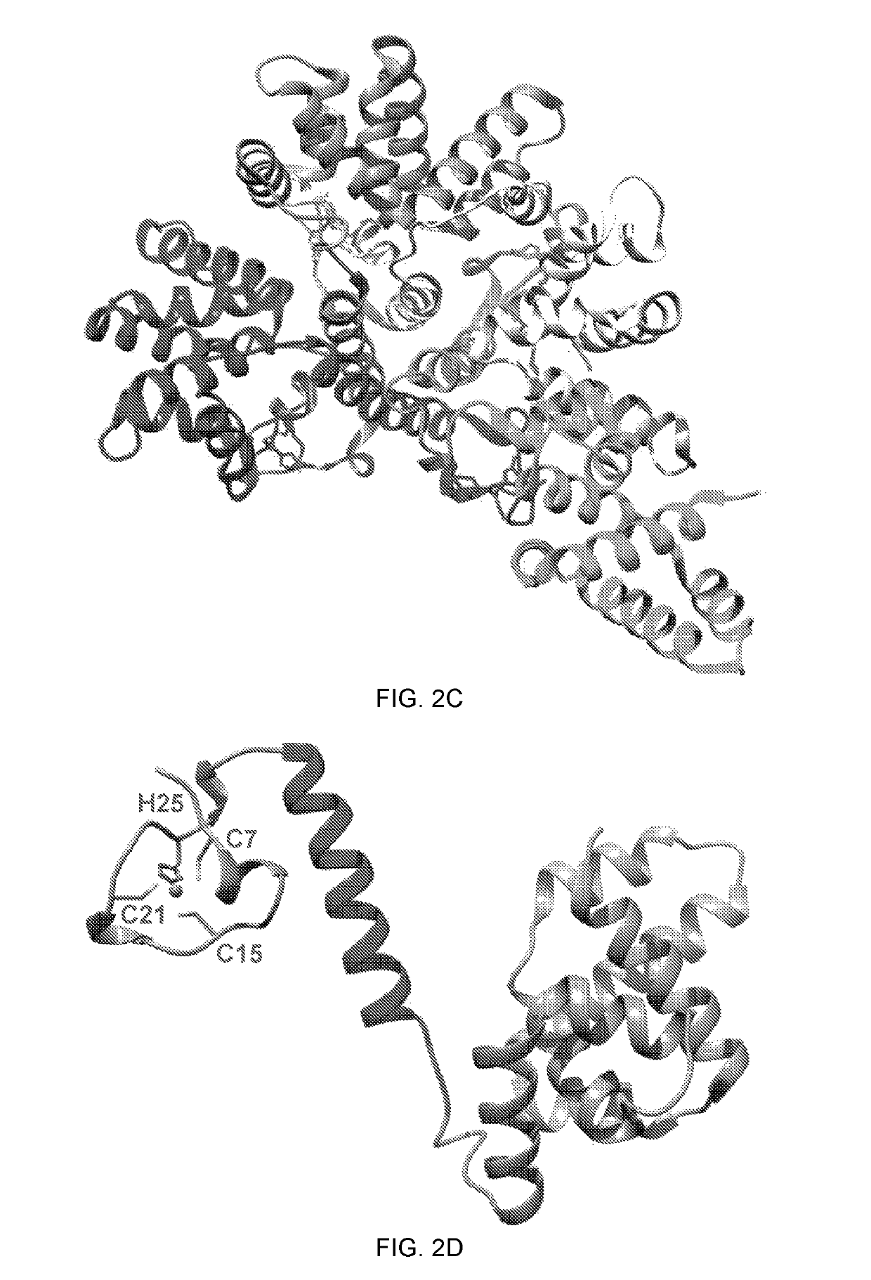 Live attenuated vaccines for pneumoviruses and related methods and materials