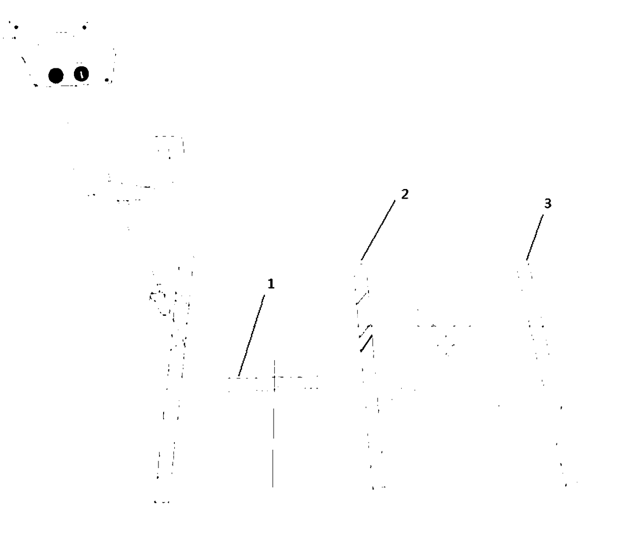 Method and device for physical fitness testing