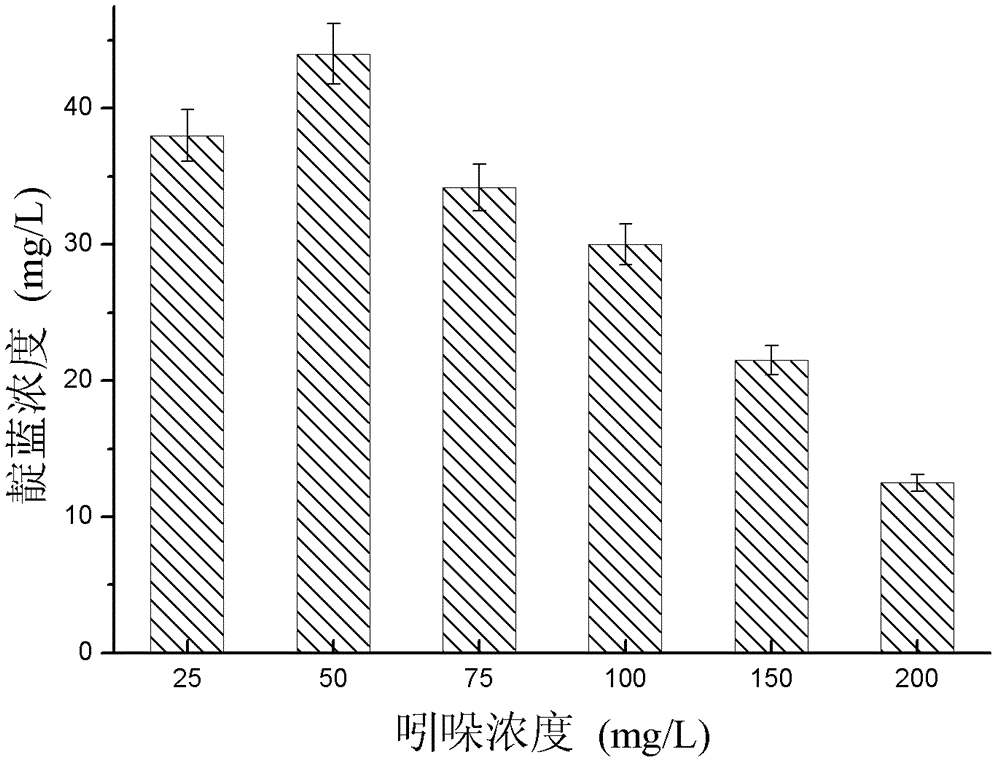 Phenol-degrading bacteria and method for preparing indigo by conversing indole