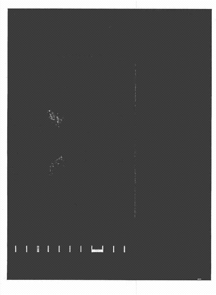 Appartus and method for measuring biologic parameters