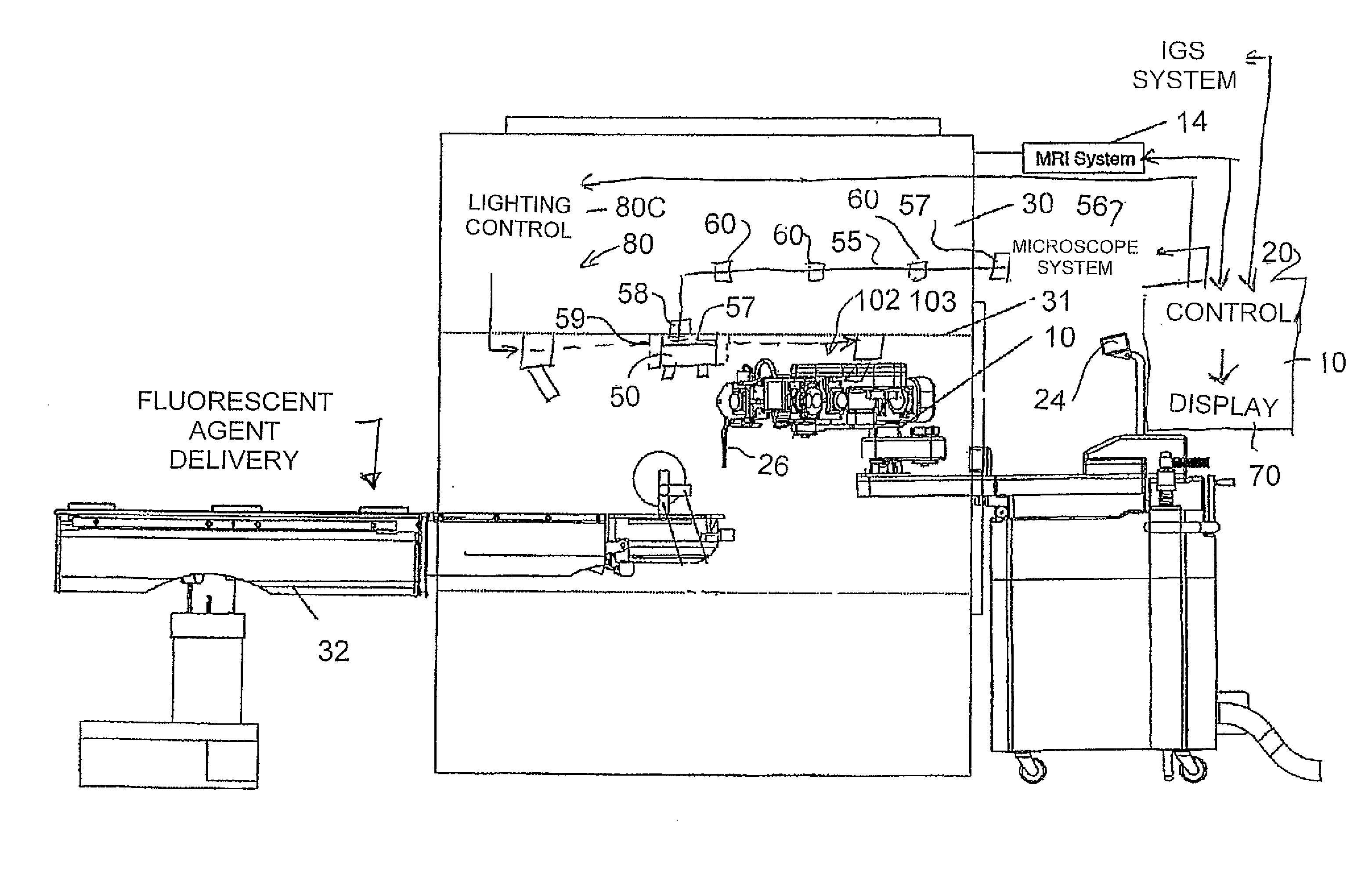 MR Compatible Fluorescence Viewing Device for use in the Bore of an MR Magnet