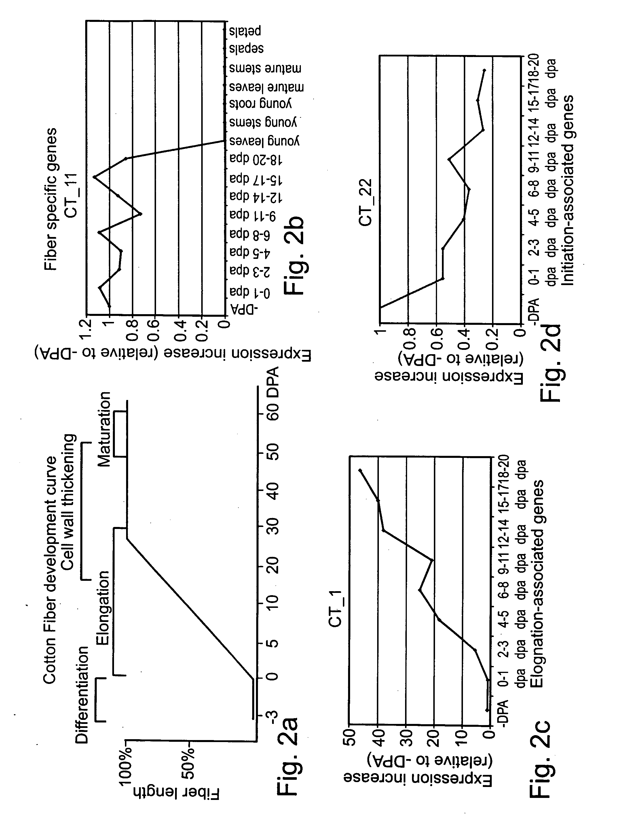 Polynucleotides and polypeptides involved in plant fiber development and methods of using same