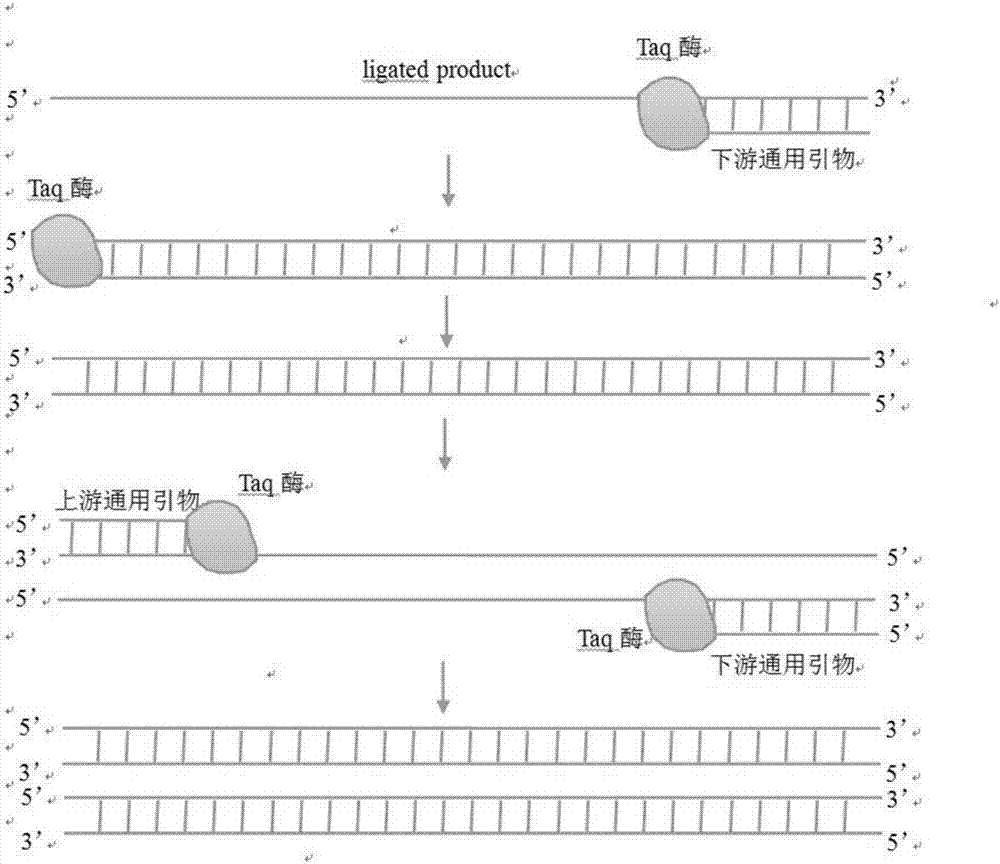 Method and kit for detecting influenza A virus series by ligase