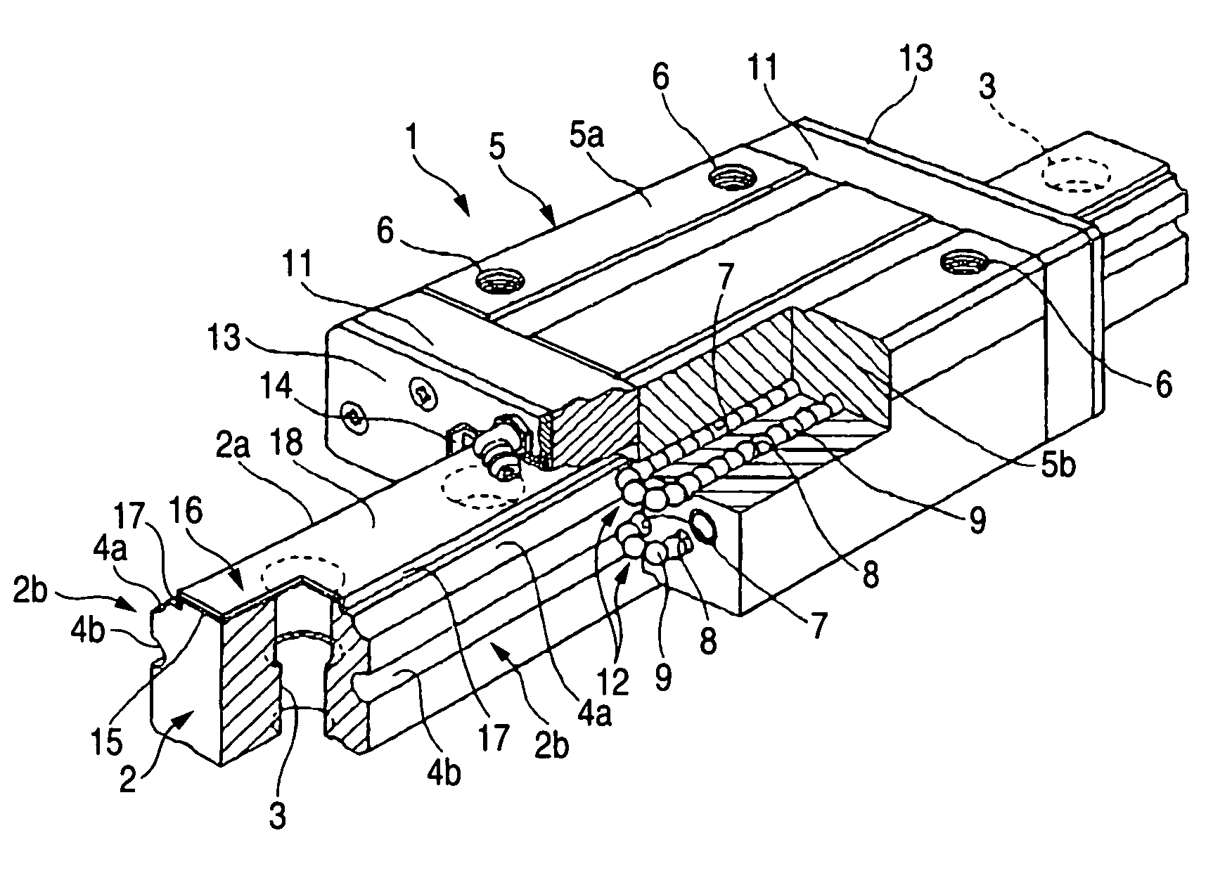 Linear guide apparatus