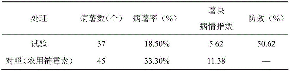 Application of benziothiazolinone to prevention and treatment of potato common scab and method for preventing and treating potato common scab