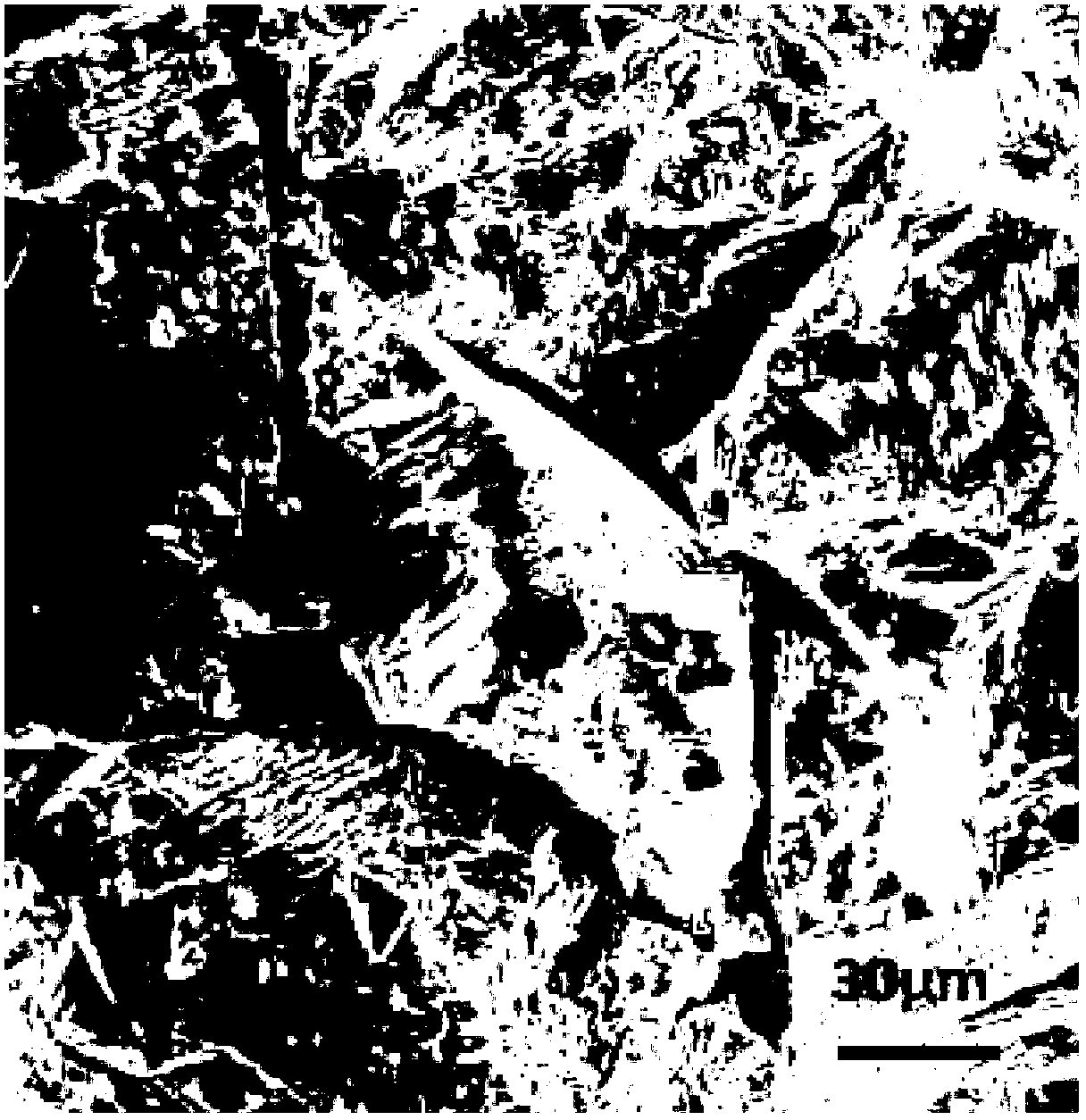 Preparation method of high-plasticity Ni-Mn-In alloy