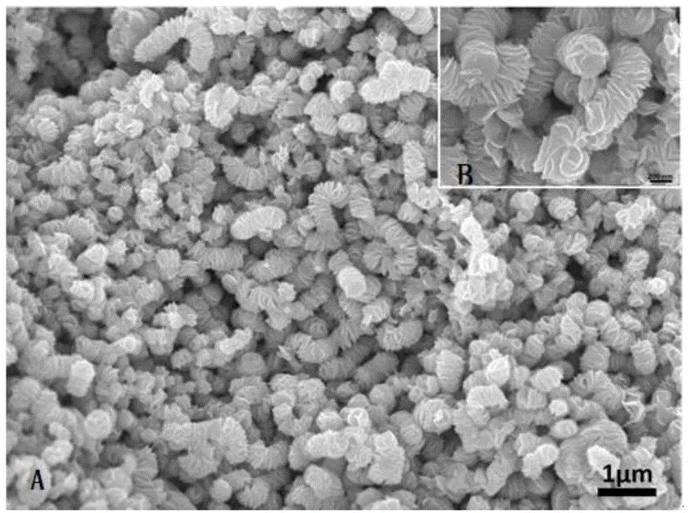 Solvothermal method for preparing three-dimensional nanometer layered structure WS2 and electrochemical application thereof