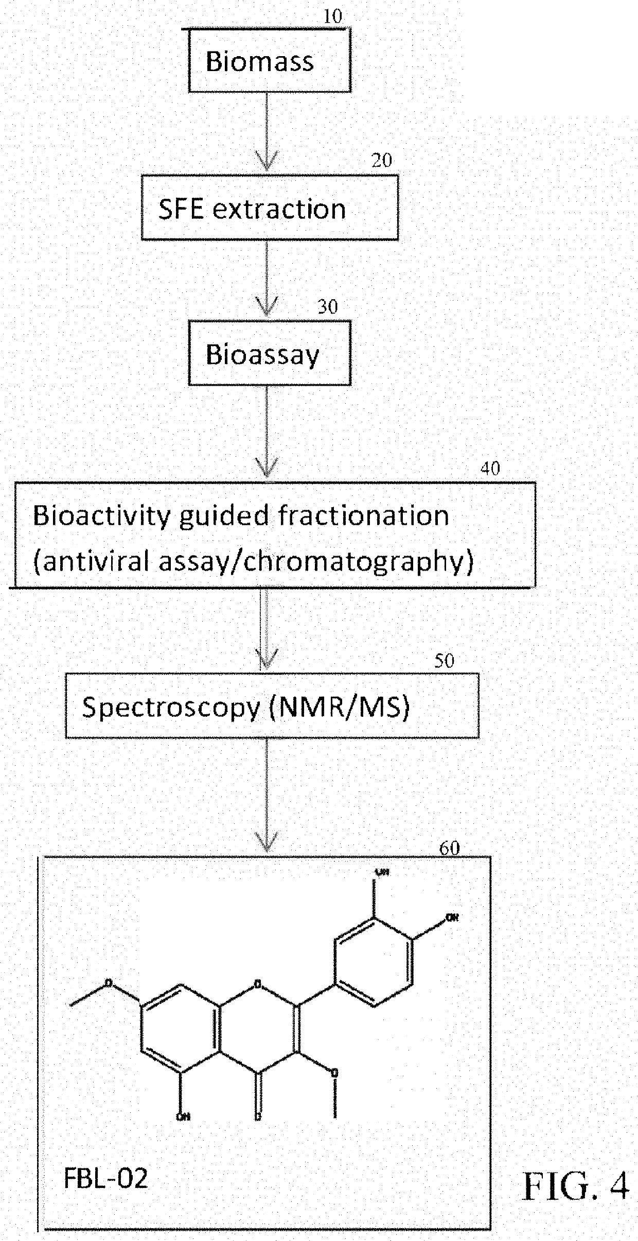 Therapeutic flavonoid based antiviral agents