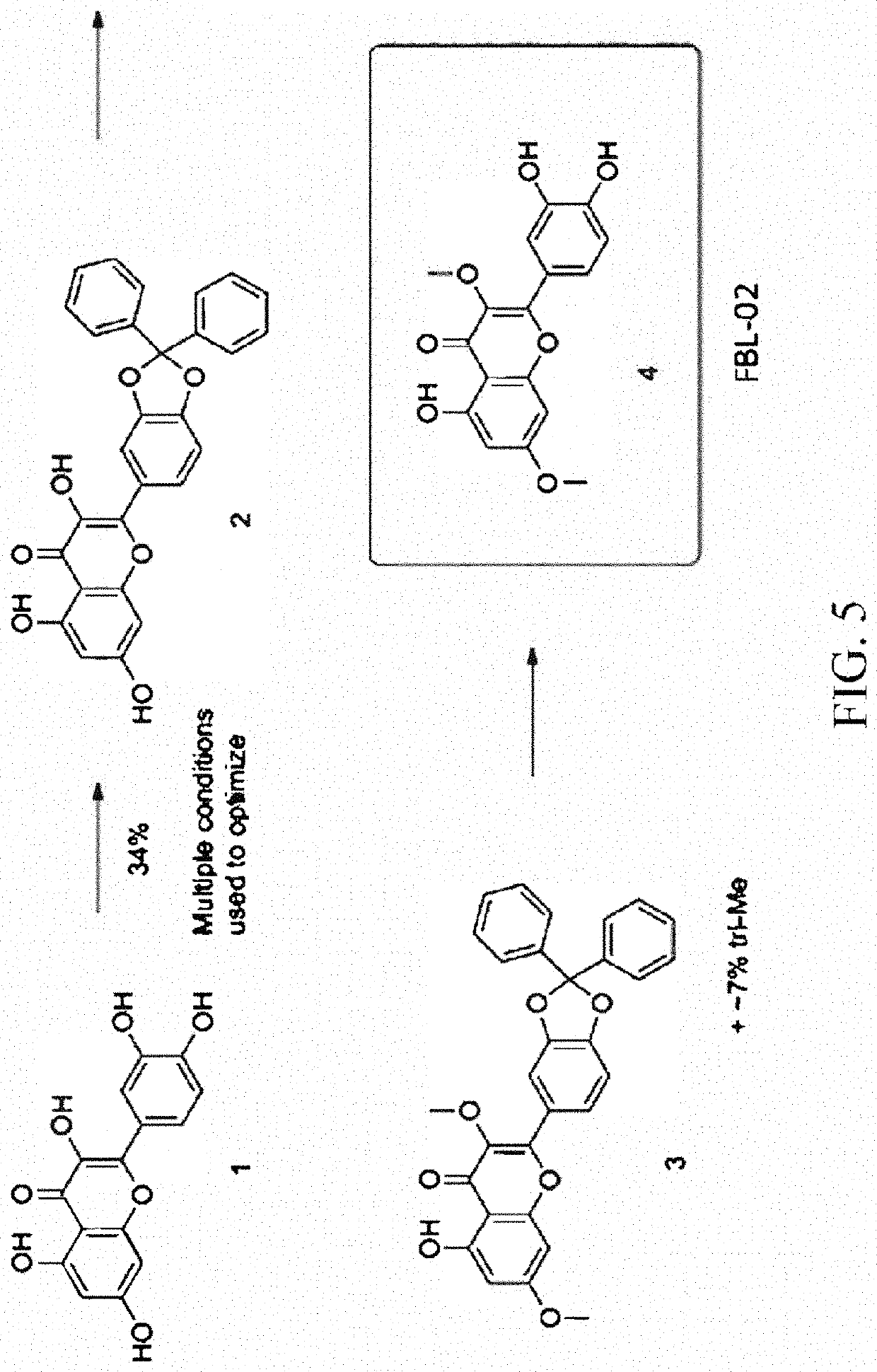 Therapeutic flavonoid based antiviral agents