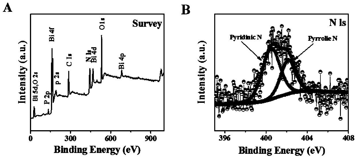 Preparation method of BiPO4/3DNGH three-dimensional photoelectric functional nano material