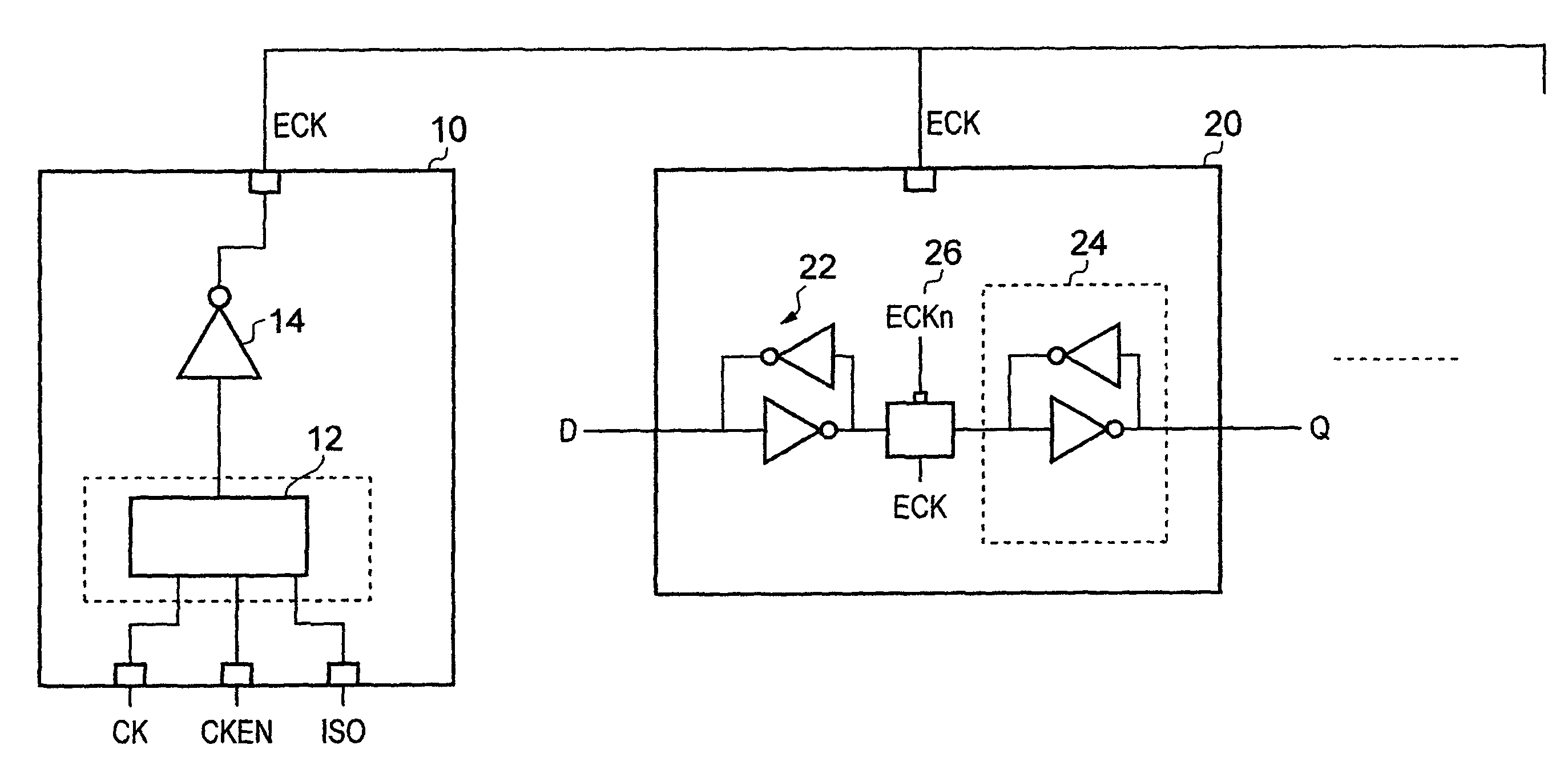 Supplying a clock signal and a gated clock signal to synchronous elements