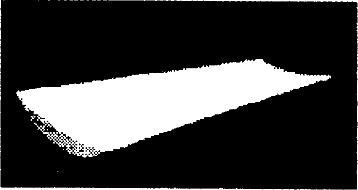 Padding for fixing system with state memory and applied technical procedure