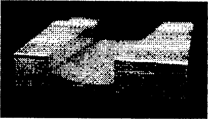 Padding for fixing system with state memory and applied technical procedure