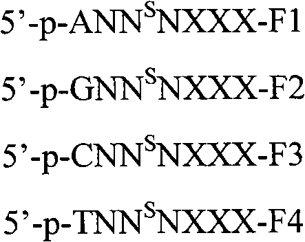 Application of oligonucleotide probe containing dithio nucleotide on detecting DNA sequences