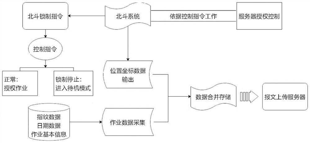 Ray device real-time monitoring terminal and monitoring method