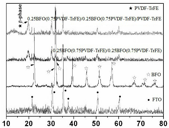 Bismuth ferrite/polyvinylidene fluoride-trifluoroethylene multilayer composite film and preparation method thereof