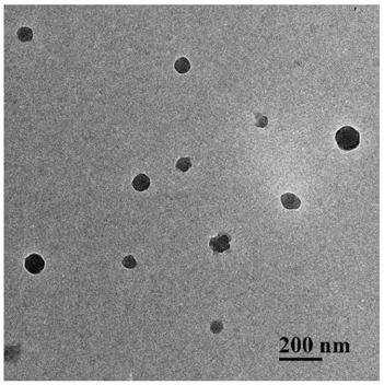 A kind of electroactive anticorrosion coating based on γ-polyglutamic acid and its preparation method