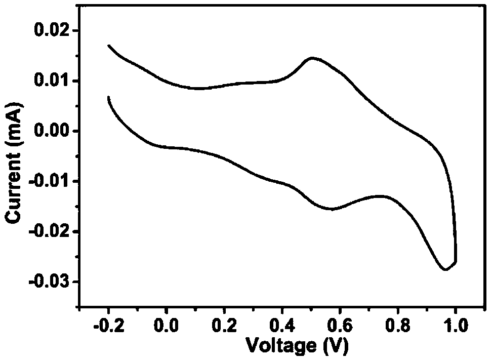 A kind of electroactive anticorrosion coating based on γ-polyglutamic acid and its preparation method