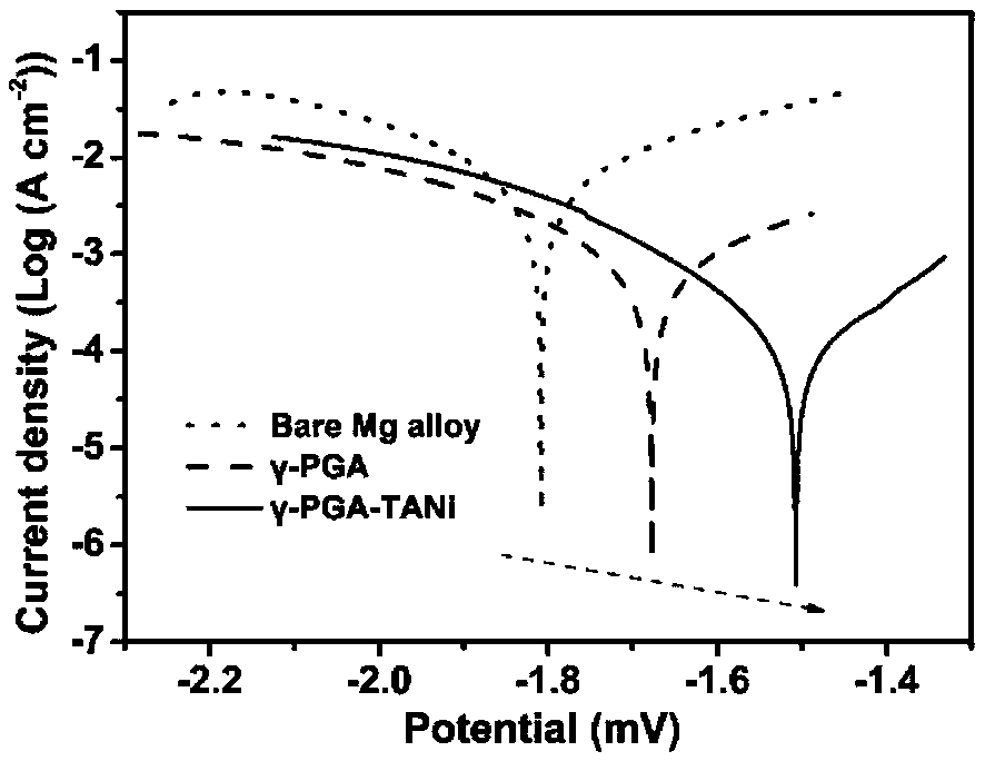 A kind of electroactive anticorrosion coating based on γ-polyglutamic acid and its preparation method